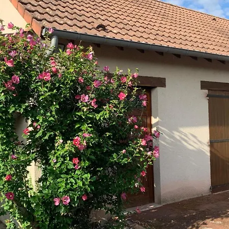 Gite La Bourreliere - Spa Salle De Jeux Barbecue Beauval Chatillon-sur-Cher Exterior photo